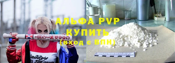 стаф Корсаков