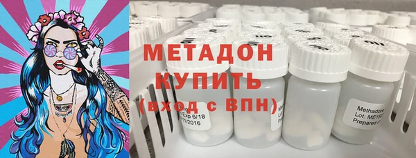 стаф Корсаков