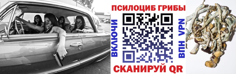 Псилоцибиновые грибы Cubensis  Мелеуз 