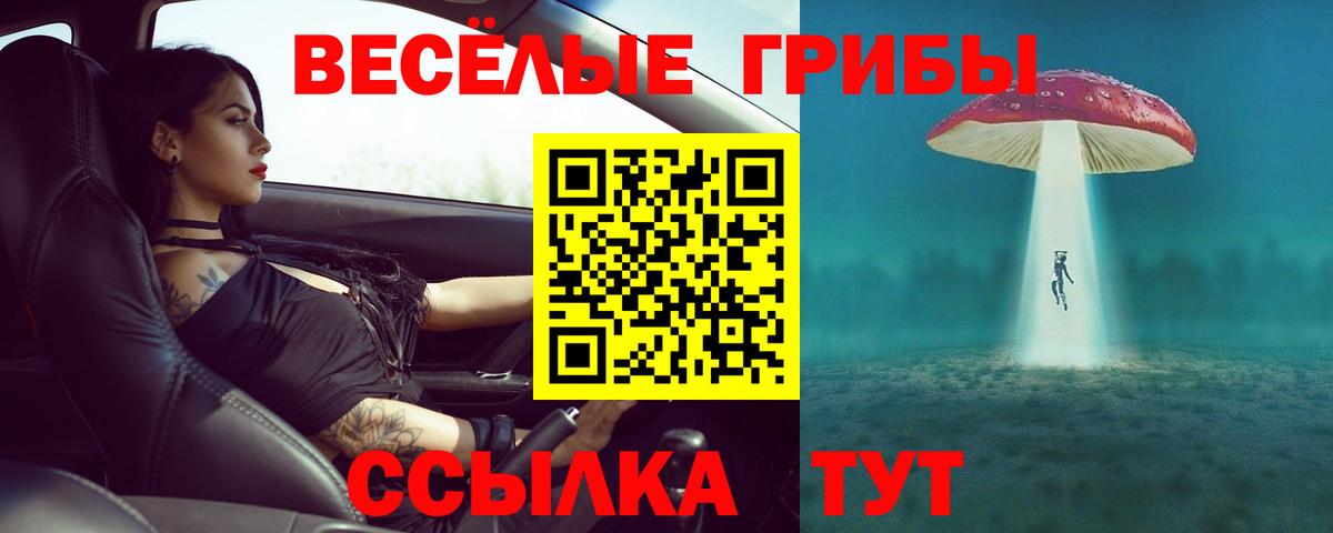Галлюциногенные грибы MAGIC MUSHROOMS  Вход с VPN  Мелеуз 